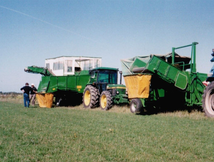 <h1>Many years of knowledge in vegetable harvesting and pack house equipment</h1>